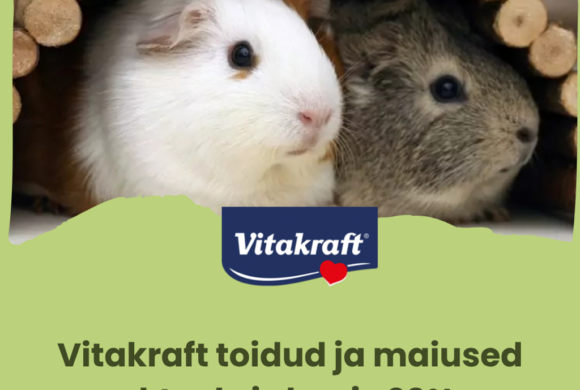 BettaZoo eripakkumine oktoobris